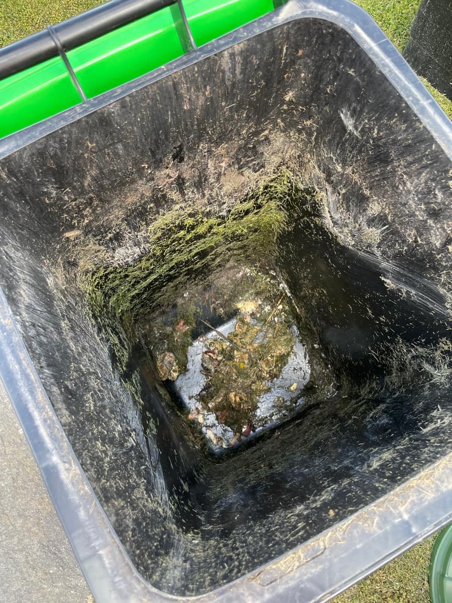 Dirty bin interior before cleaning